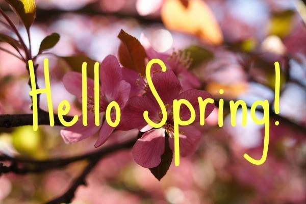 hello spring image