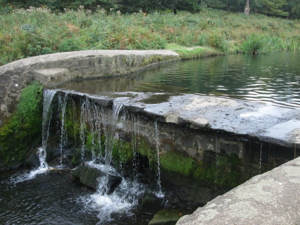 waterfall at Bradgate park in Leicester