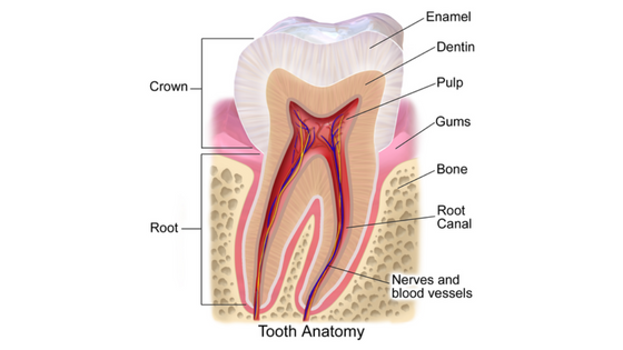 tooth sensitivity